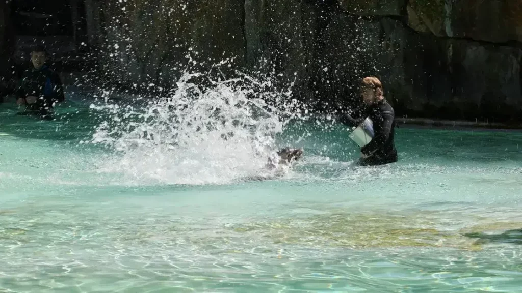 california institute of technology free online courses