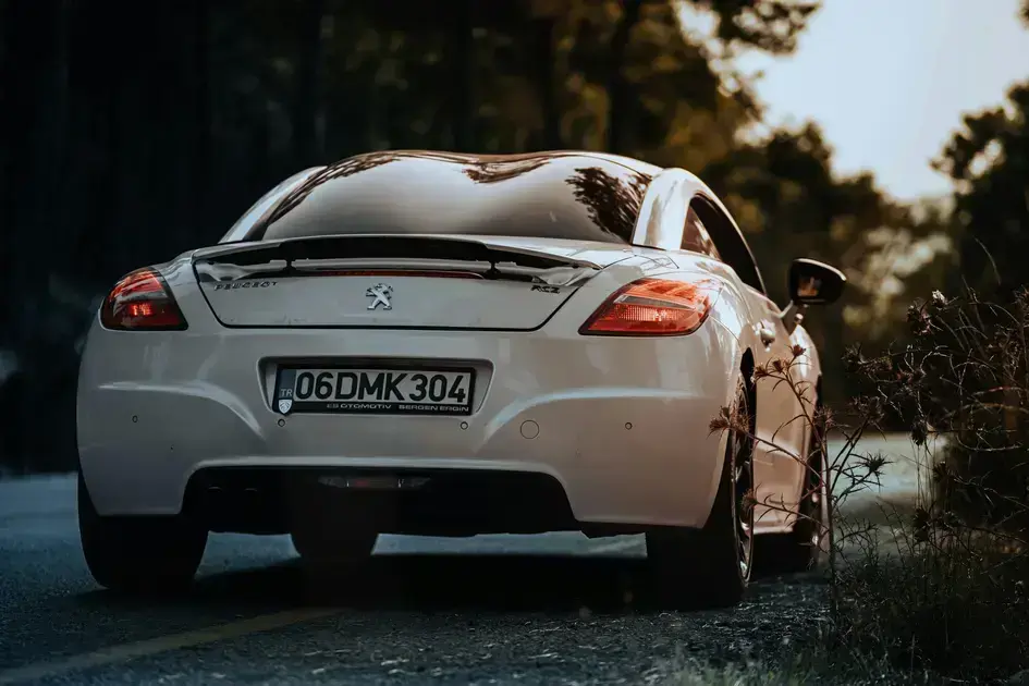 centre of excellence free course