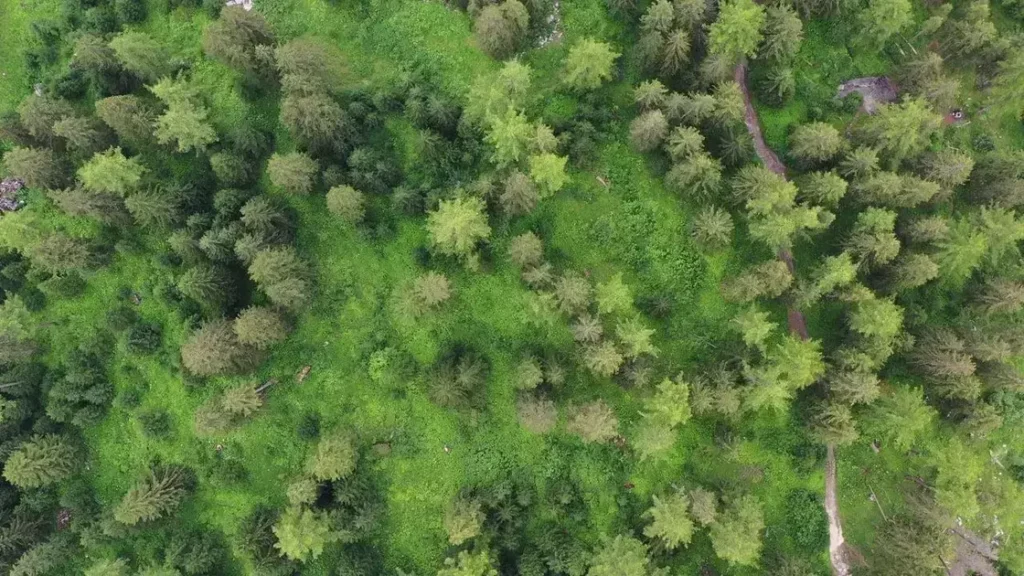 fear of flying course free