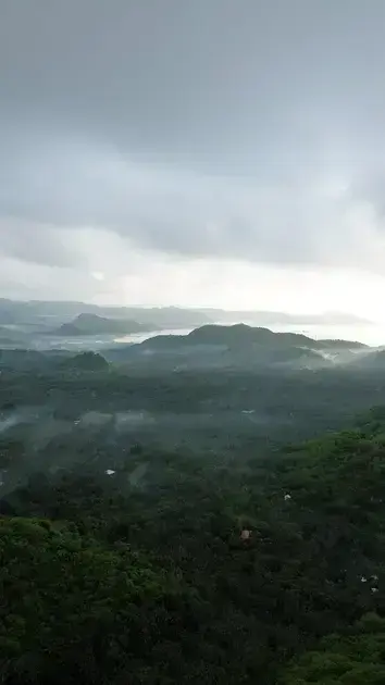 free law of attraction course