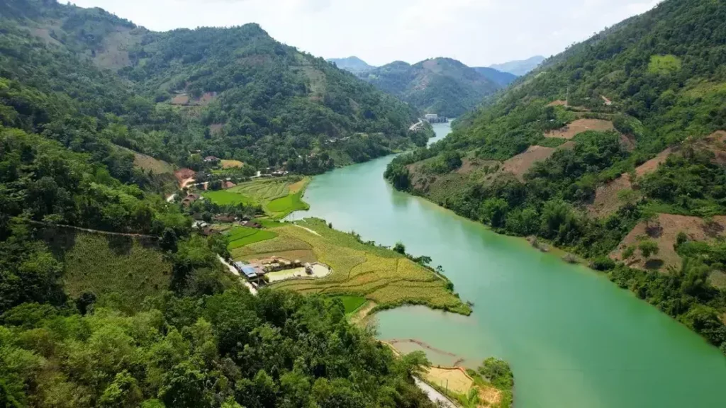 free law of attraction course