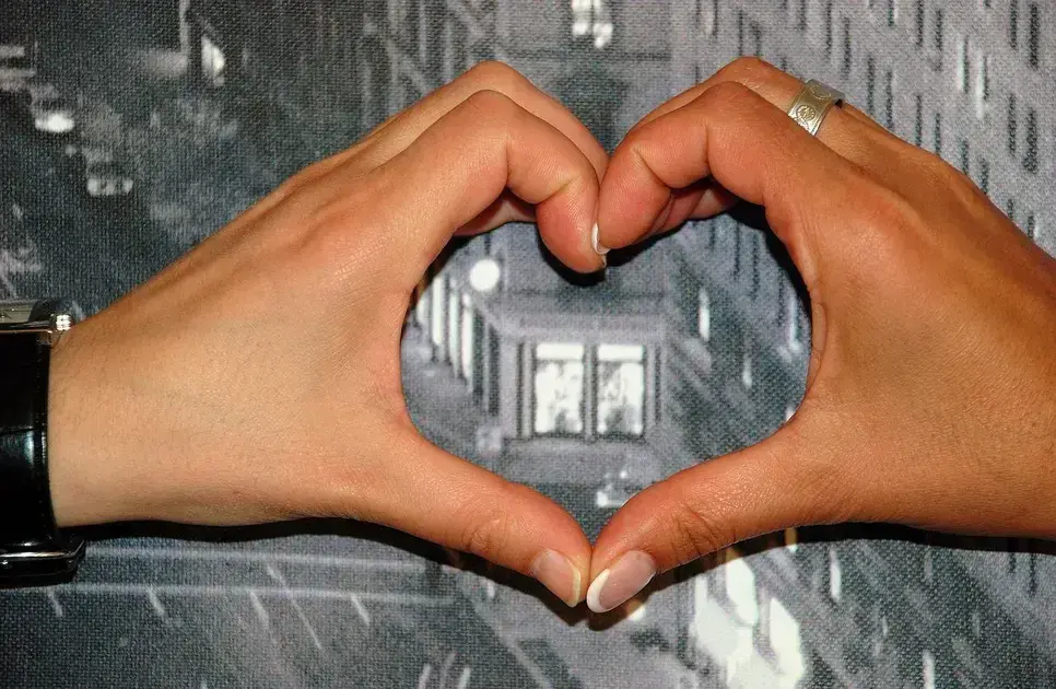 love of course full movie online free