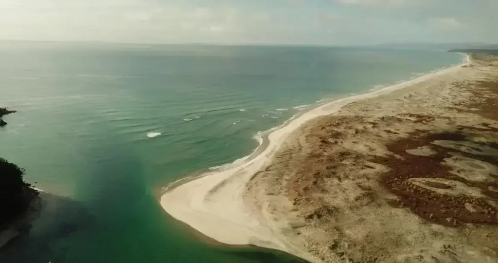 university of auckland free online courses