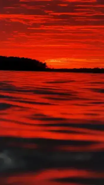 university of california free online courses 2023 with certificates