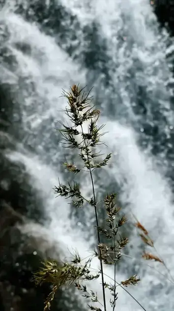 university of colorado boulder free online courses