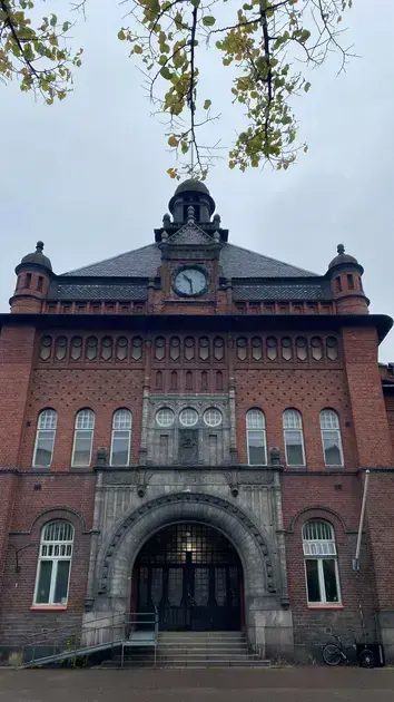 university of helsinki courses free