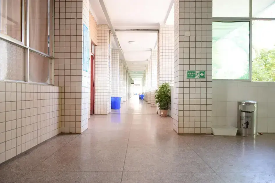 university of houston free online courses