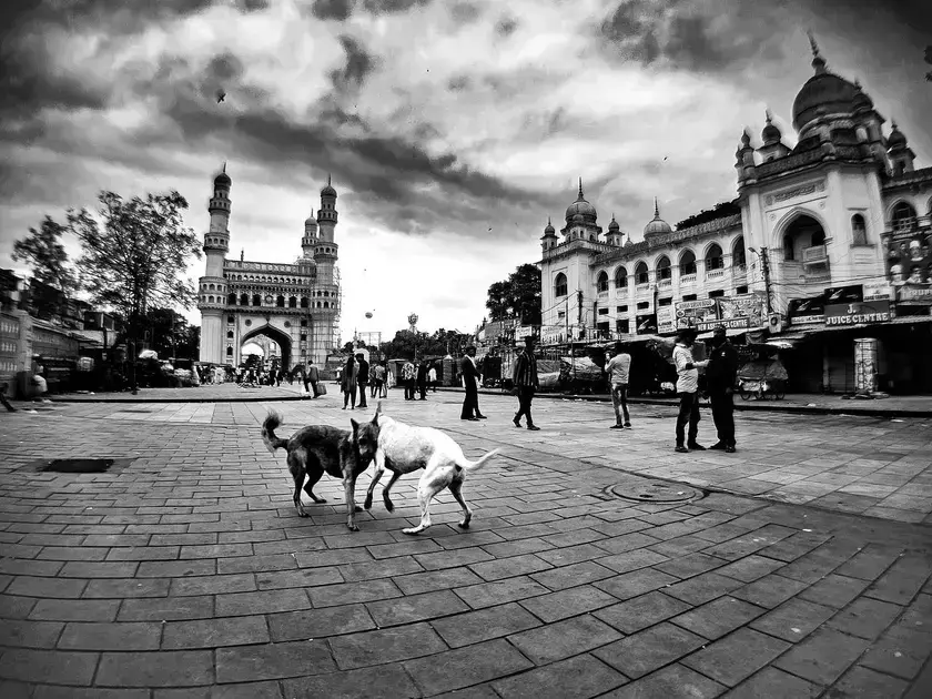 university of michigan free online courses