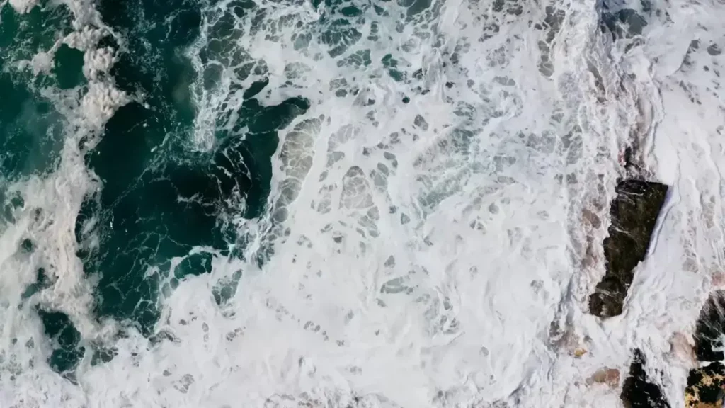 university of tasmania free online courses