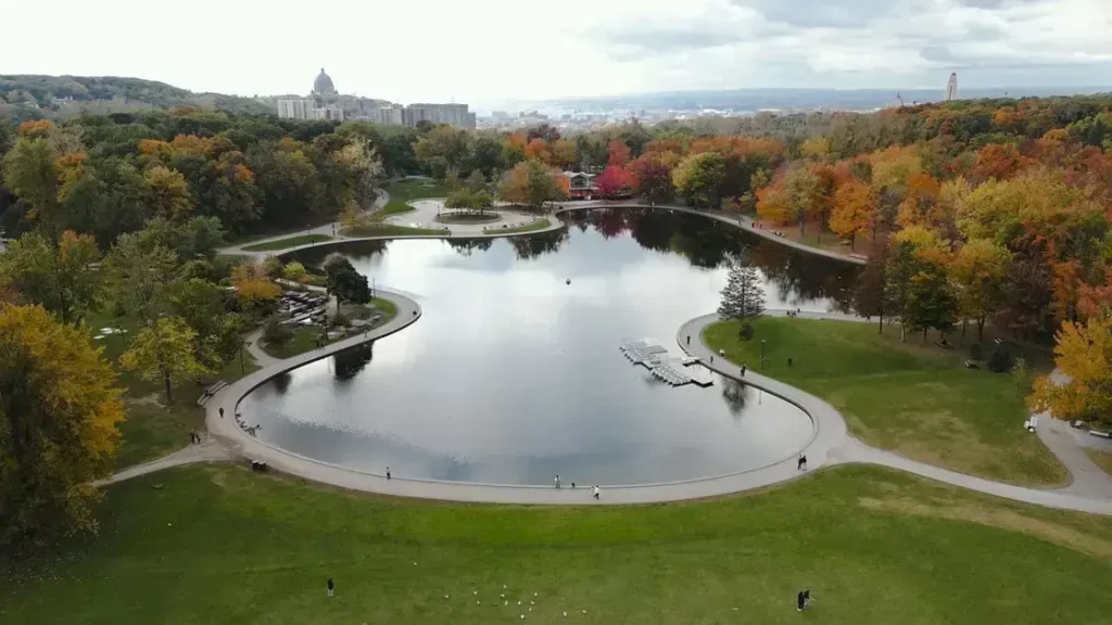 university of toronto free online courses