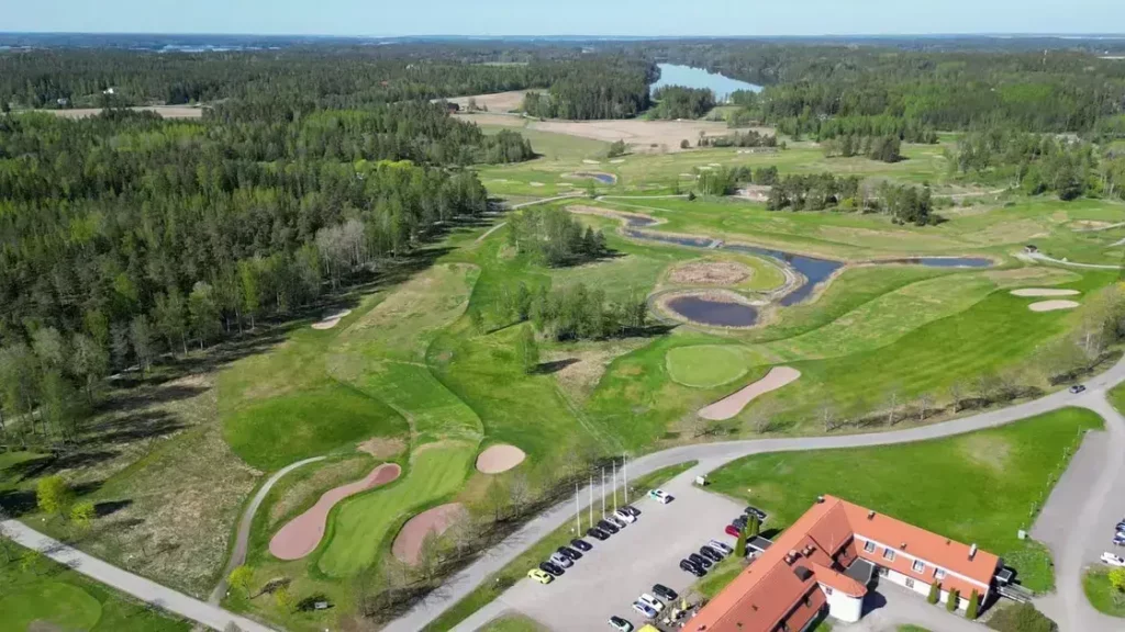 watch love of course online free